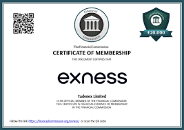 Discover Opportunities with Exness Forex Promotion Material Page